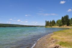 McLeese Lake 10. Tag
