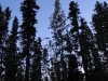 DSC00559