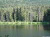 DSC00598