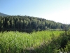 DSC00599