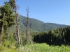 DSC00600