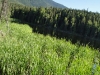 DSC00601