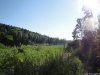 DSC00602