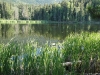 DSC00604