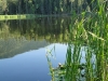 DSC00605