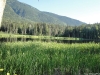 DSC00609