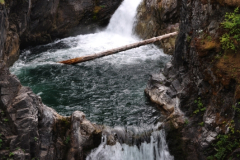Little Qualicum Falls 20. Tag